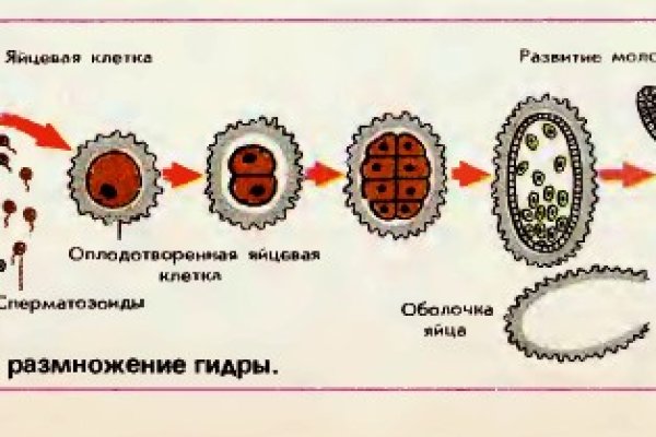 Кракен ссылка оригинал онион krmp.cc