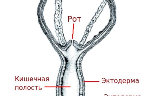 Кракен рабочее зеркало