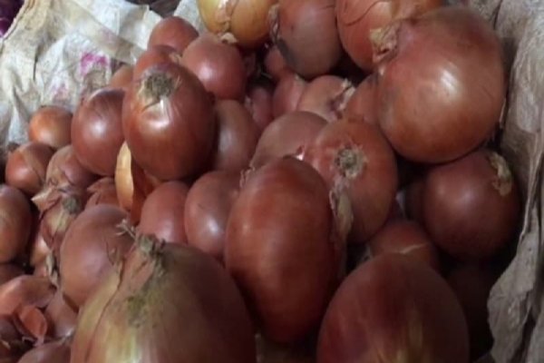 Гидра hydraruzxpnew4af onion