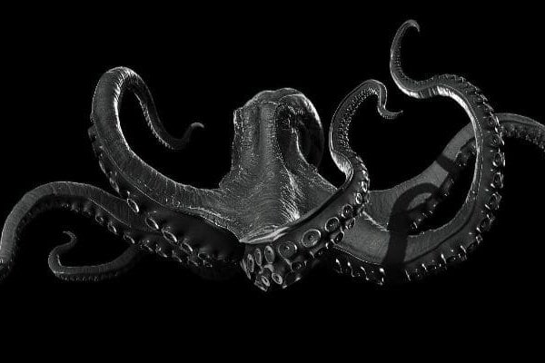Официальная ссылка на kraken in.krmp.cc