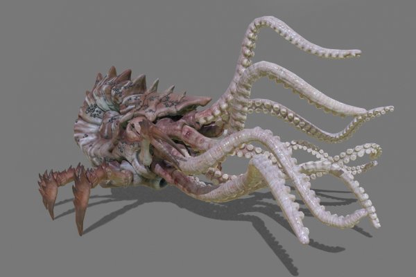 Регистрация на сайте kraken