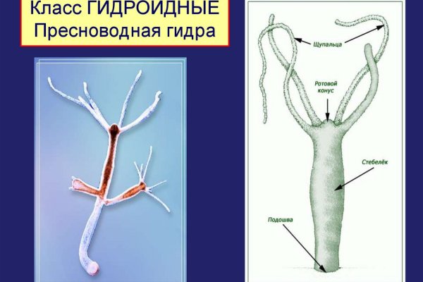 Как попасть на кракен